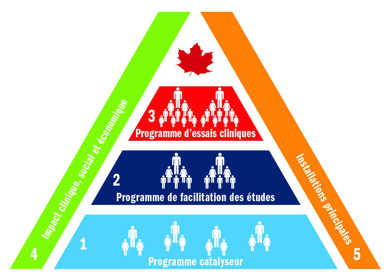 Rapport annuel 2015-2016 BioCanRx
